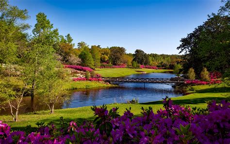 Orlando's Gardens and Parks: A Haven of Serenity